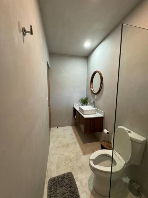 Jungle Penthouse W Private Rooftop, Ac And Wifi Apartment