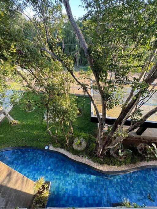Jungle Penthouse W Private Rooftop, Ac And Wifi *